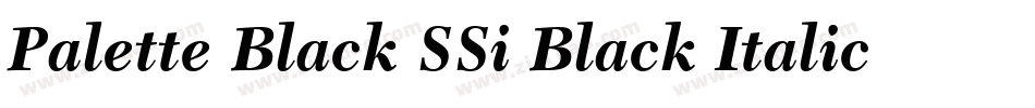 Palette Black SSi Black Italic字体转换